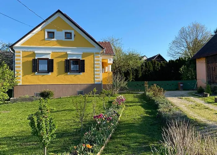 Tulipan Vendeghaz Kercaszomor