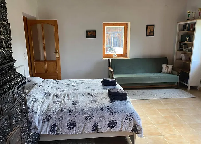 Tulipan Vendeghaz Kercaszomor