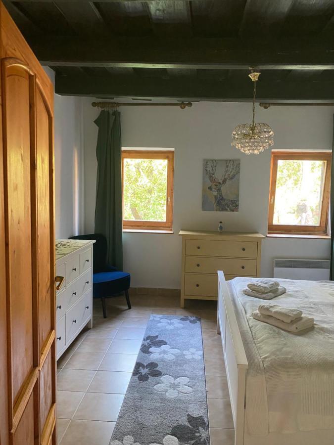 Apartment Tulipan Vendeghaz *